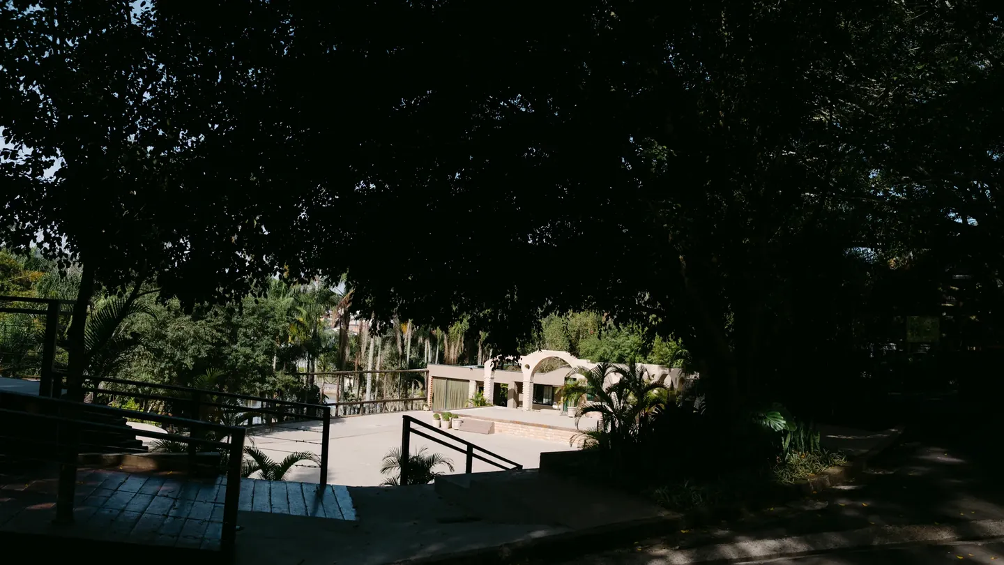 Caminhos de acesso da Casa Giardino em meio à Mata Atlântica